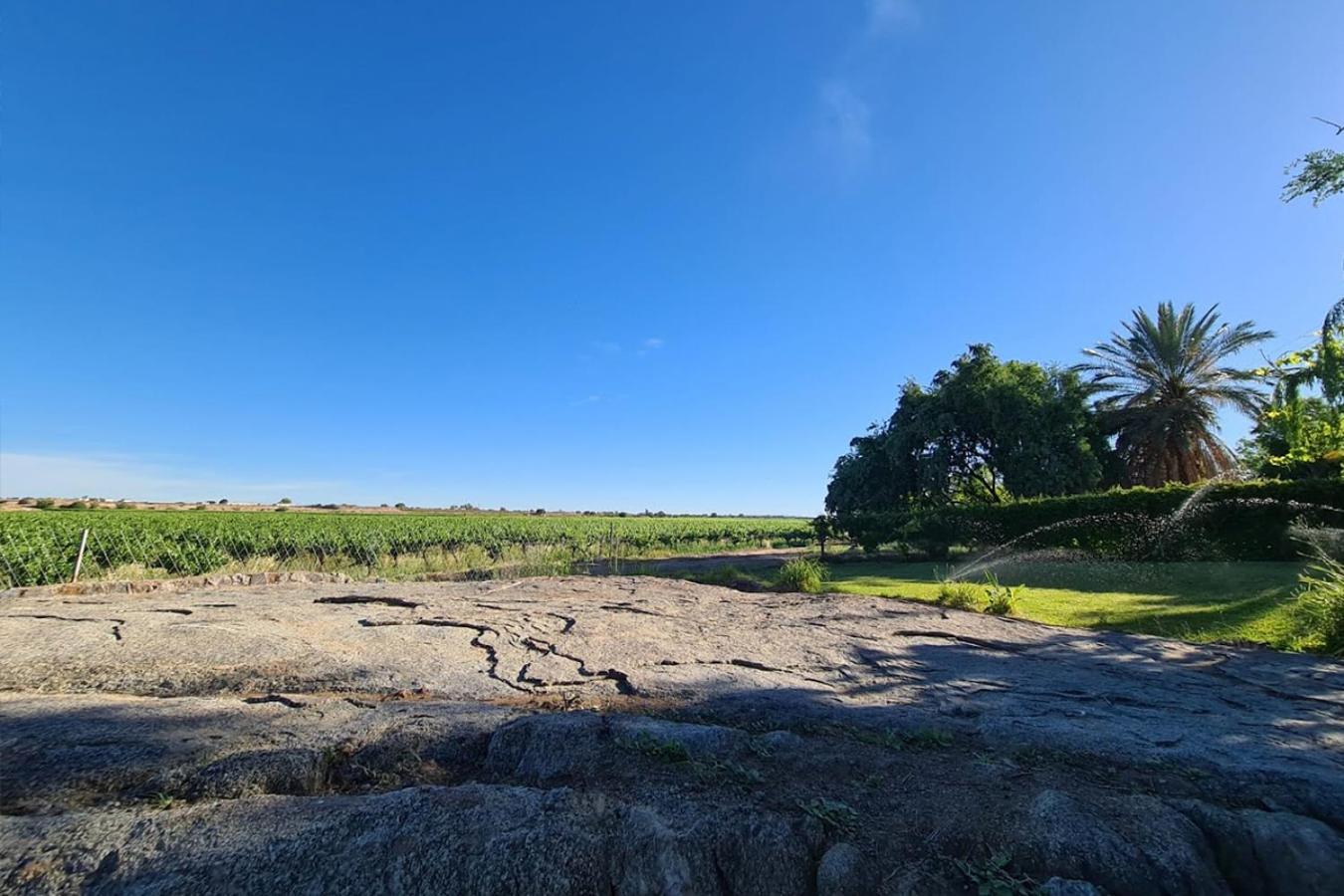 הוילה Kanoneiland Bezalel Wine & Brandy Estate מראה חיצוני תמונה